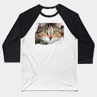 Calico Cat Face, Gifts Cat Lovers Baseball T-Shirt